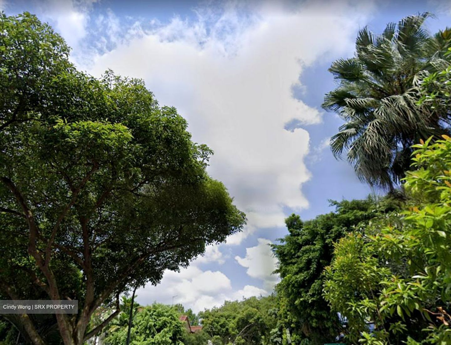 Raffles Park (D11), Detached #458902561